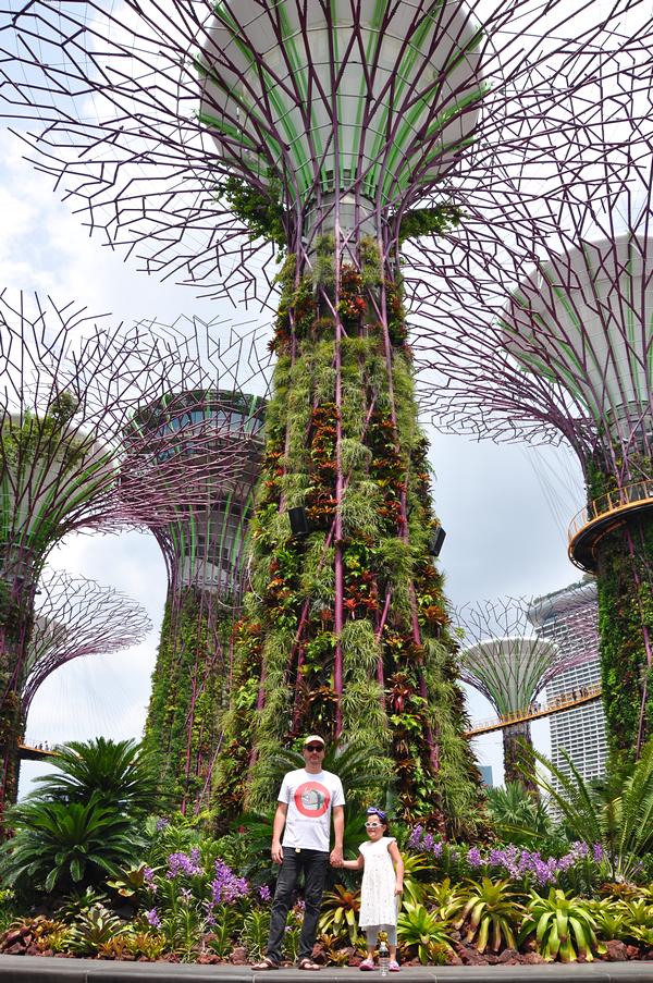 Locações em Singapura mostrados no filme Podres de Ricos (Crazy Rich Asians, 2018) - Supertrees no Gardens by the Bay