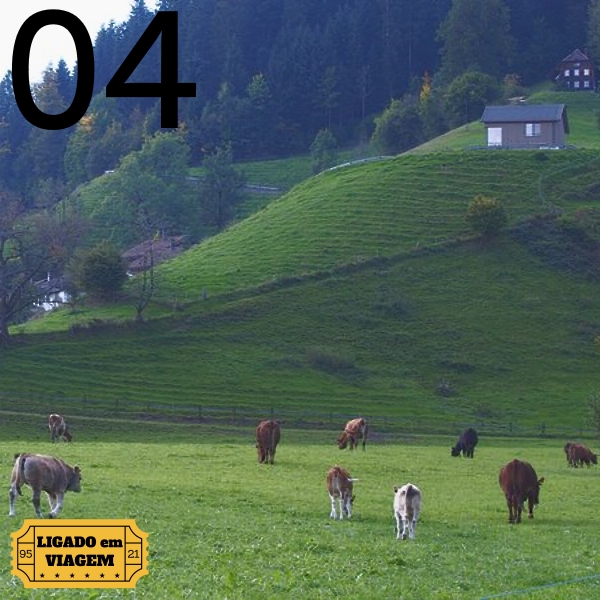 Histórias de Viagem – 04 – Fugindo de vacas na região do Emmental na Suíça, 2018