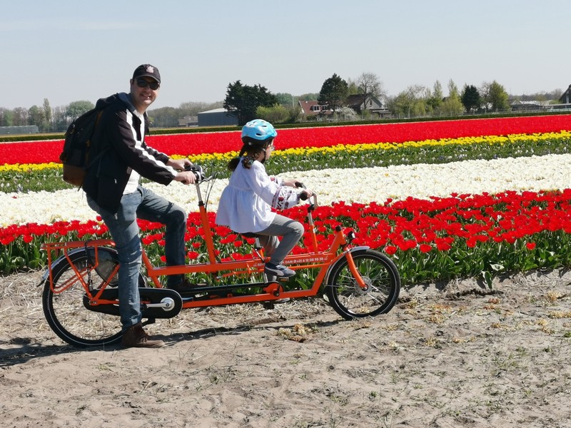 Passeio de Bike na Holanda