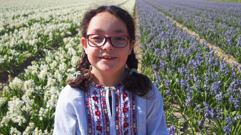 Dicas para visitar os campos de tulipas no selim da bicicleta ao redor do Keukenhof em Lisse na Holanda