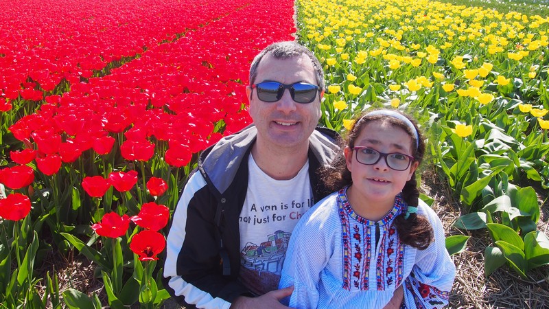 Dicas para visitar os campos de tulipas no selim da bicicleta ao redor do Keukenhof em Lisse na Holanda