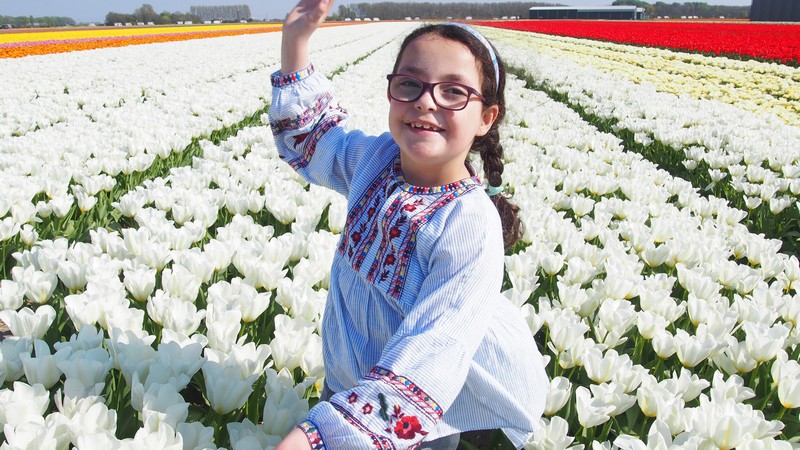 Dicas para visitar os campos de tulipas no selim da bicicleta ao redor do Keukenhof em Lisse na Holanda