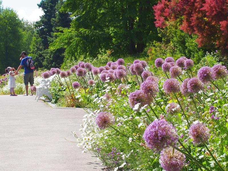 Blumeninsel Mainau, a ilha das flores no lago de Constança na Alemanha