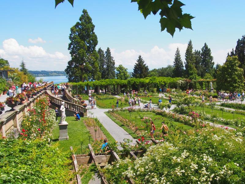 Blumeninsel Mainau, a ilha das flores no lago de Constança na Alemanha - Italienischer Rosengarten