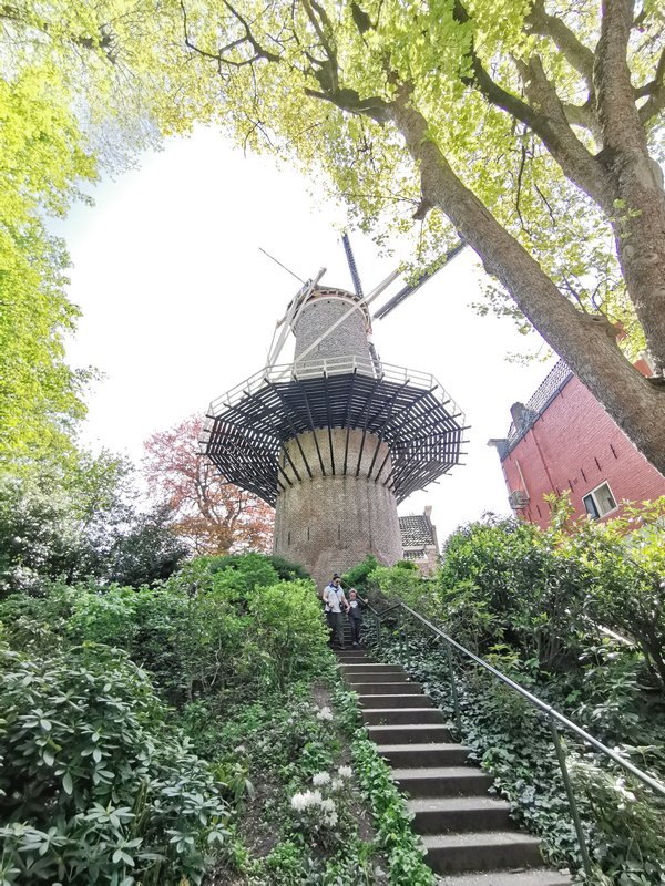 Roteiro em Gouda na Holanda – Vitrais, Queijos, Stroopwafel e Rembrandt - Moinho Molen De Roode Leeuw