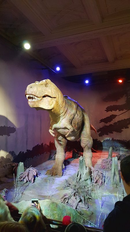 Guia completo para o Museu de História Natural de Londres - Tiranossauro Rex