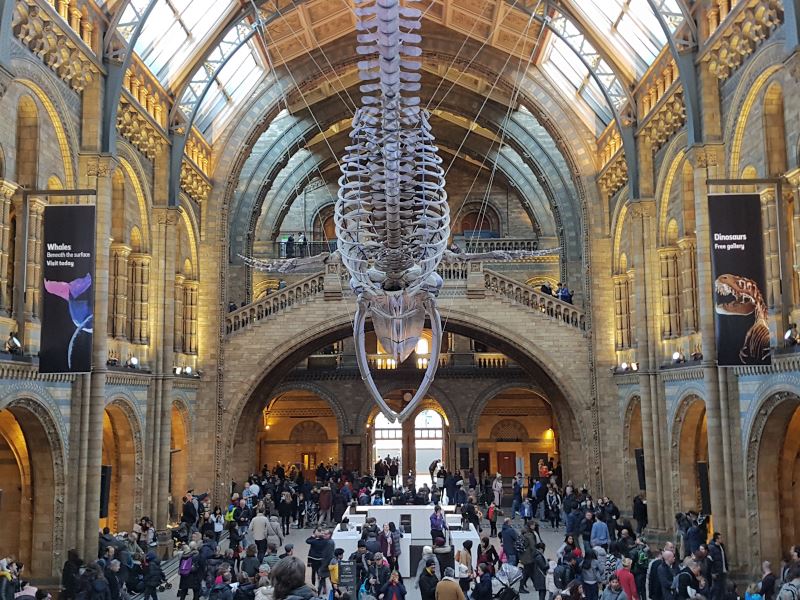 Guia completo para o Museu de História Natural de Londres