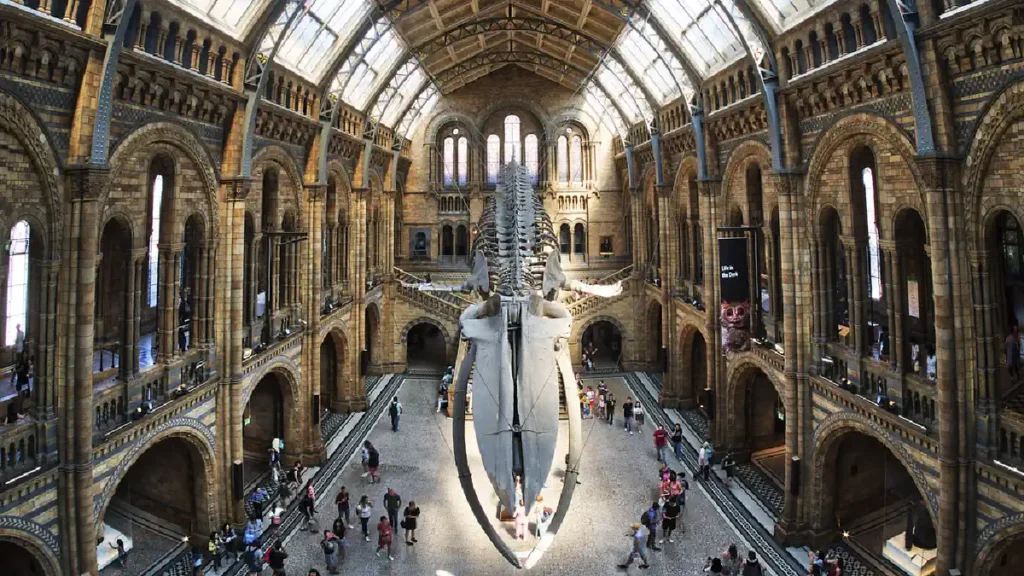 Museu de História Natural de Londres - Guia completo de visita