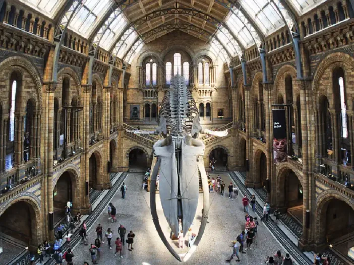 Museu de História Natural de Londres - Guia completo de visita