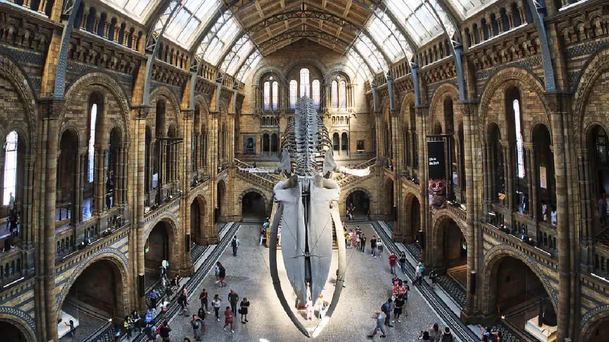 Museu de História Natural de Londres - Guia completo de visita