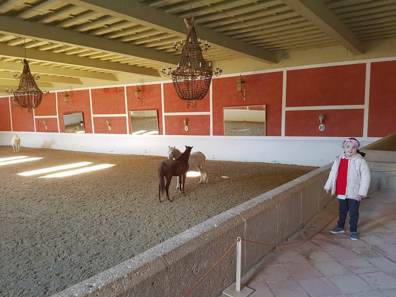 Planejamento de viagem para o que visitar em Ronda na Espanha - Plaza de Toros de Ronda