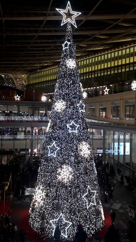 Luzes de Natal em Paris na França - Lojas e galleries