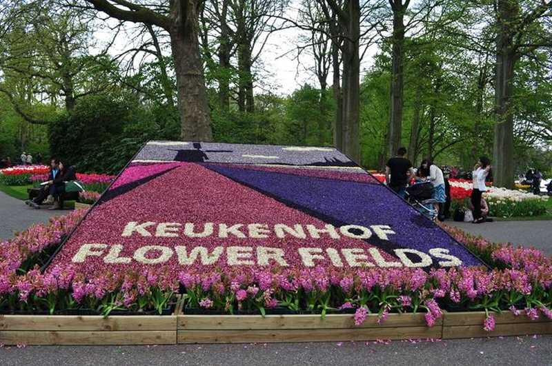 Keukenhof, na Holanda, Lisse - Painéis e mosaicos de flores