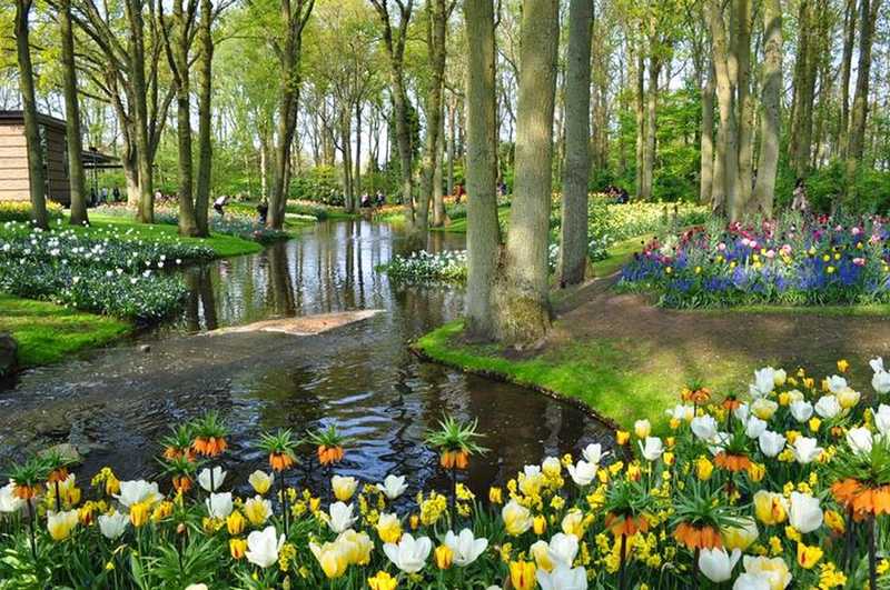 Keukenhof, na Holanda, Lisse - Um lugar mais lindo que o outro