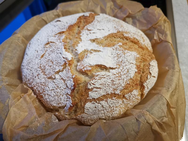 Pão redondo de receita sem sova