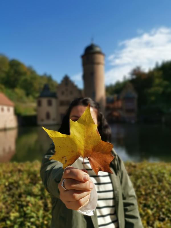 Castelo de Mespelbrunn na Alemanha