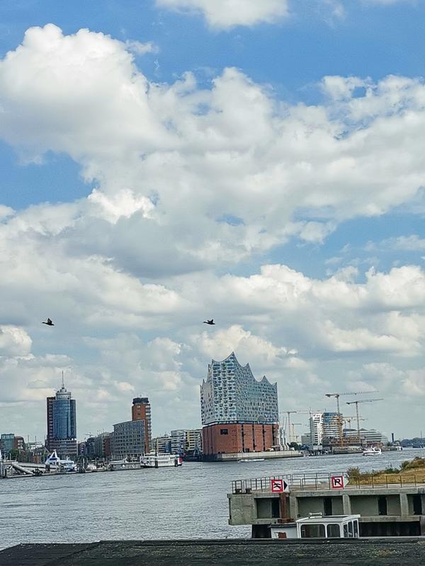 Vista para a cidade de Hamburgo a partir do mirante em Viewpoint - Steinwerder