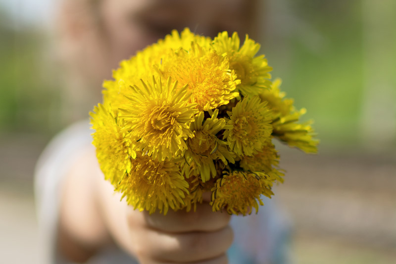 Mensagens e frases do dia das mães para cartão e homenagem