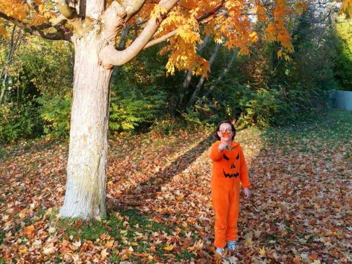 Festa de Halloween na Alemanha, o Dia das Bruxas alemão