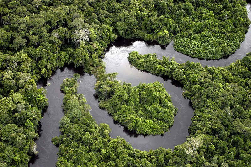 Podcast Ligado em Viagem #51 - Amazonas: comendo larva de coco na floresta (com Amanda Trintim)