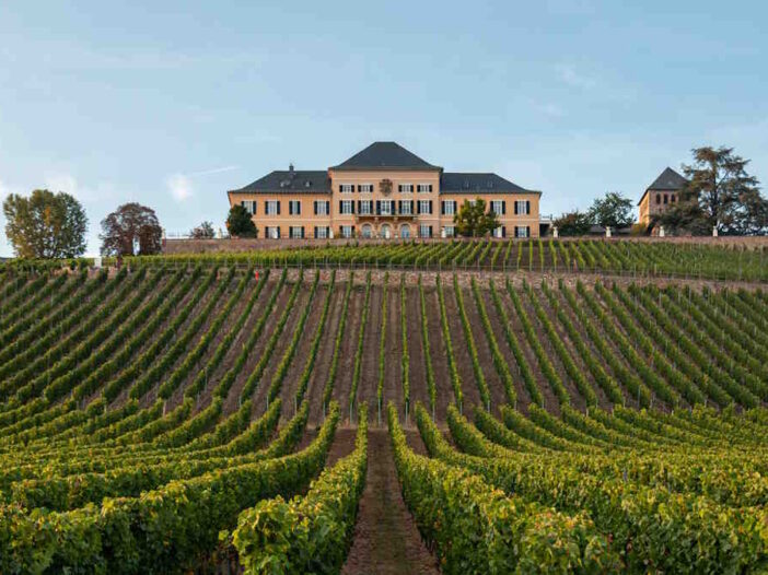 Melhores passeios de vinho, atrações turísticas e degustações de vinho na Alemanha
